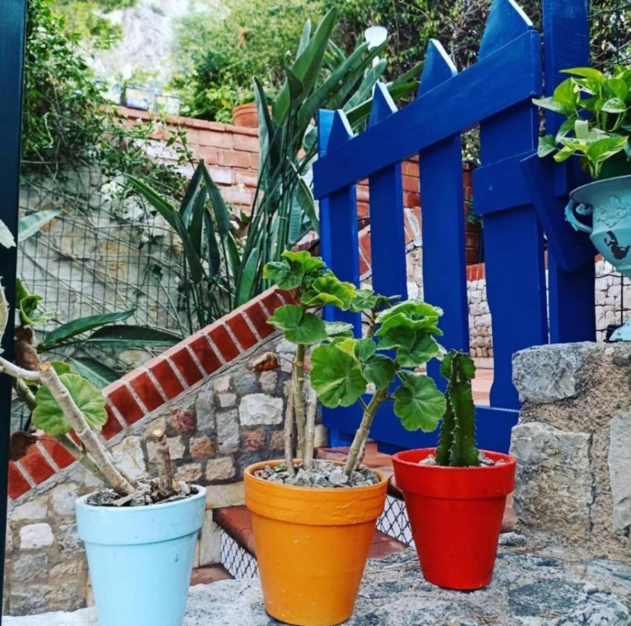Vfh Villa Flavia Eco B&B - 50 Metri Dal Mare Santa Flavia Kültér fotó